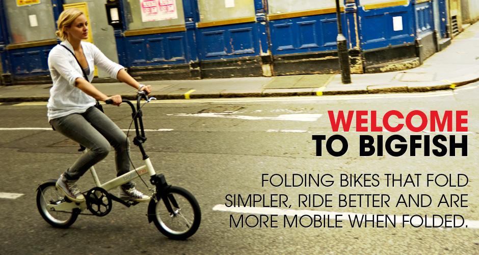 Bigfish folding bike
