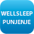 <p>Punjen je pahuljastim, ali čvrstim Wellsleep mikrovlaknima.</p>