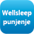 <p>Punjen je pahuljastim, ali čvrstim Wellsleep mikrovlaknima.<br /></p>