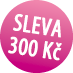 discount300