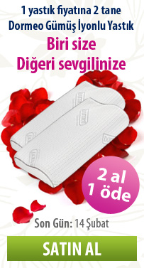 Sevgililer Günü'ne özel, 1 Gümüş İyonlu Yastık fiyatına 2 tane alın!