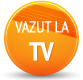 vazut la tv